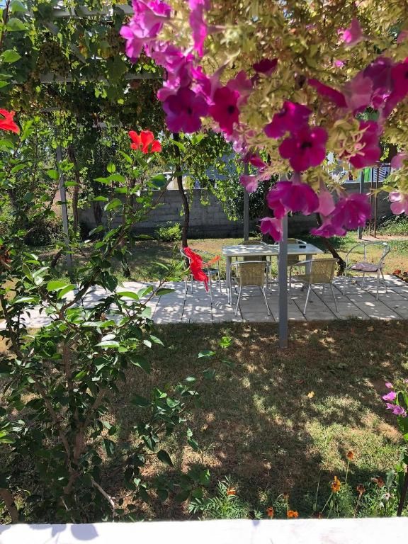 Апартаменты Apartmani Sara Улцинь